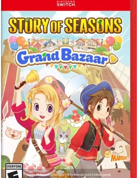 Story Of Seasons: Grand Bazaar - NS2